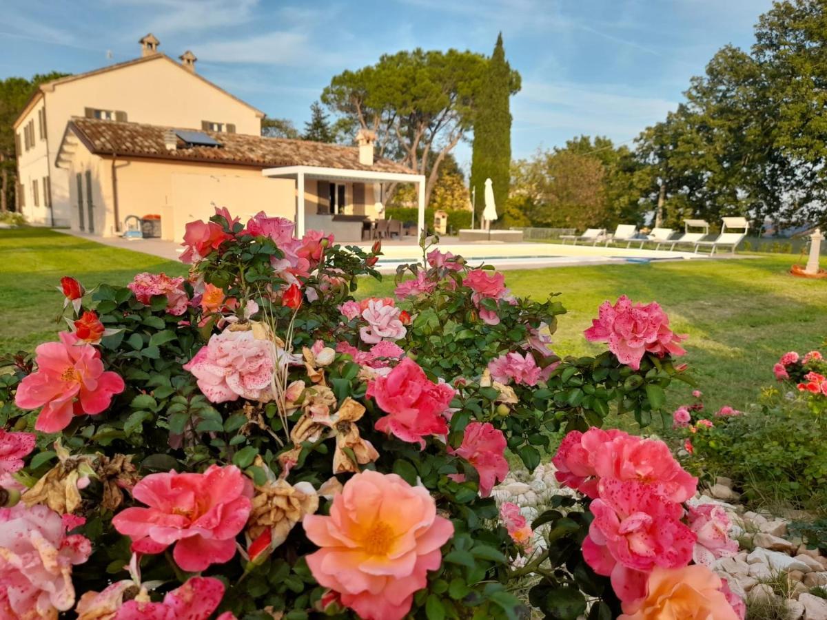 Relais Villa Sofia Calcinelli Zewnętrze zdjęcie