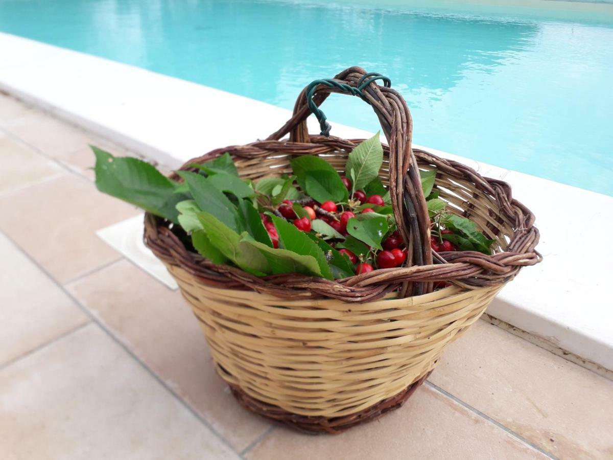 Relais Villa Sofia Calcinelli Zewnętrze zdjęcie
